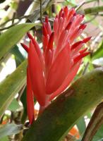 post-62520-0-94991400-1349581746_thumb.j