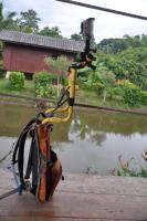 post-69255-0-82158700-1350814314_thumb.j