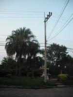 post-99096-0-63592400-1350975541_thumb.j