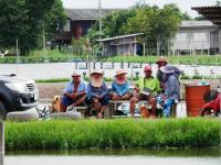 post-104736-0-12733700-1381445203_thumb.