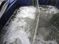 post-104736-0-28340400-1381534834_thumb.