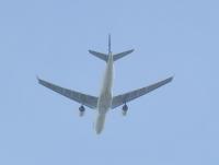 post-104736-0-42578300-1380587675_thumb.