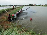 post-104736-0-81892900-1381445195_thumb.