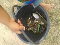 post-111197-0-46343500-1382850598_thumb.