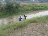 post-111197-0-69862500-1382850516_thumb.