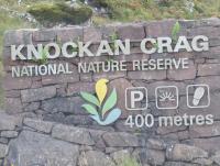 post-12069-0-07467500-1380649504_thumb.j