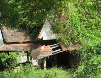 post-12069-0-11136400-1383106994_thumb.j