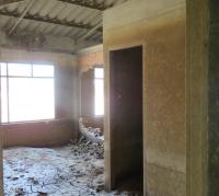 post-12069-0-35464300-1383107064_thumb.j