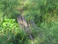 post-12069-0-44775500-1382331469_thumb.j