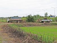 post-12069-0-53223900-1382695660_thumb.j