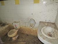 post-12069-0-66212900-1383107151_thumb.j