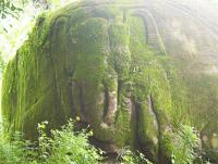 post-12069-0-91210600-1383203573_thumb.j