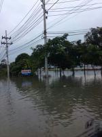 post-125616-0-56544900-1381281059_thumb.