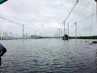 post-125616-0-82331600-1381281084_thumb.