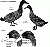 post-126208-0-30947200-1381652563_thumb.