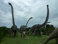 post-126208-0-74825300-1381046949_thumb.