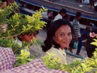 post-146250-0-30690700-1381119405_thumb.