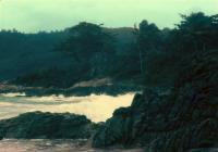 post-146250-0-38300900-1380630395_thumb.