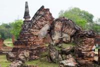 post-171103-0-18931100-1383117005_thumb.