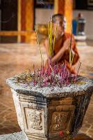 post-171103-0-77179300-1383118073_thumb.