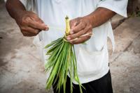 post-171103-0-78997900-1383193670_thumb.