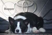 post-178648-0-13760200-1381044930_thumb.