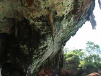 post-185776-0-03245600-1382437075_thumb.