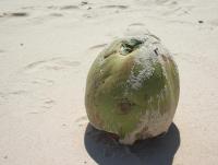 post-185776-0-48740800-1382440157_thumb.