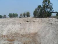 post-185776-0-54071400-1381482818_thumb.