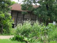 post-185776-0-56903300-1381654927_thumb.