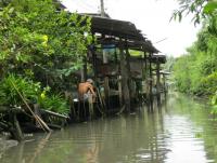 post-185776-0-84347400-1382175246_thumb.