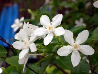 post-188117-0-05112900-1381498960_thumb.