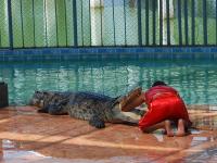 post-188117-0-10799500-1382037585_thumb.