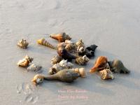 post-188117-0-19156900-1381671434_thumb.