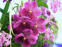 post-188117-0-37099800-1381499107_thumb.