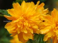 post-188117-0-46615300-1381347004_thumb.