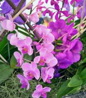 post-188117-0-51664000-1381499141_thumb.