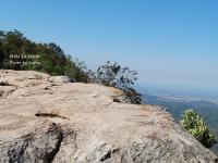 post-188117-0-67691800-1380974154_thumb.