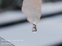 post-188117-0-75256100-1382183794_thumb.