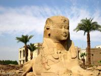 post-188117-0-78178100-1381580935_thumb.