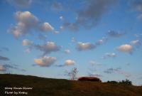 post-188117-0-80626900-1380974042_thumb.