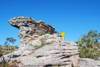 post-188117-0-92252100-1380974139_thumb.