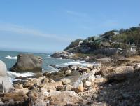 post-188117-0-92778300-1381671282_thumb.