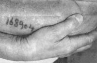 post-188855-0-41445000-1382960410_thumb.