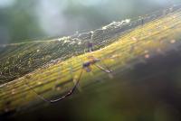 post-190360-0-11405500-1382930764_thumb.