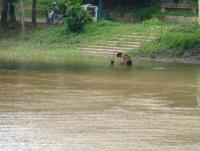 post-25023-0-14128300-1382872610_thumb.j