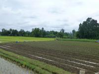 post-25023-0-23101400-1382791897_thumb.j