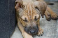 post-25023-0-74748900-1381322255_thumb.j