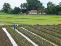 post-25023-0-84689800-1382791942_thumb.j