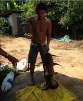 post-42398-0-83334900-1381650246_thumb.j